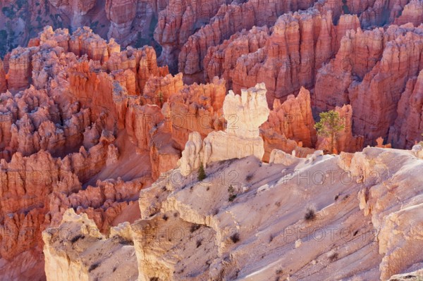 Bryce Canyon, Bryce Canyon National Park, Utah, USA