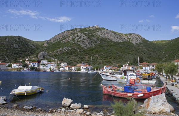 Boats in the harbour of Agia Kiriaki on the Aegean Sea, Pelion or Pelion Peninsula, Magnisia, Thessaly, Greece