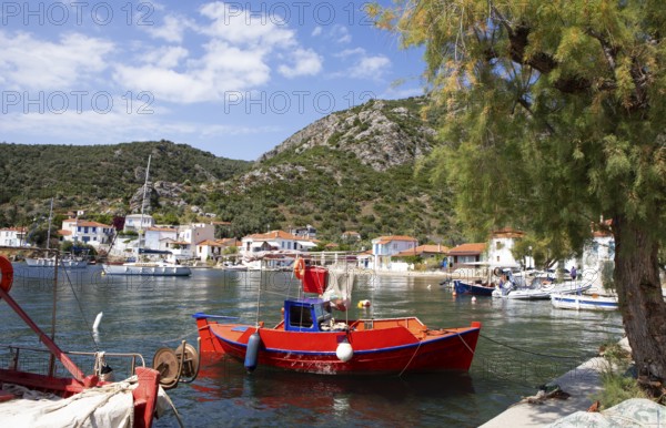 Red boat in the harbour of Agia Kiriaki on the Aegean Sea, Pelion or Pelion Peninsula, Magnisia, Thessaly, Greece