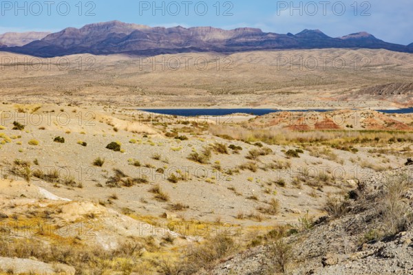 Echo wash drains into the Overton Arm of Lake Mead at Echo Bay, Nevada, USA