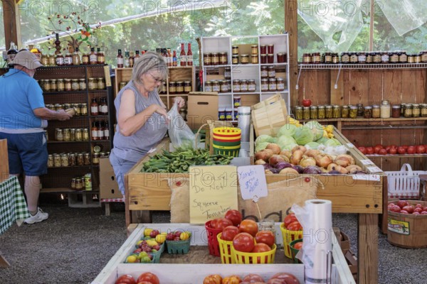 Senior couple shopping for fresh vegetables at roadside produce stand near Hayesville, North Carolina, USA