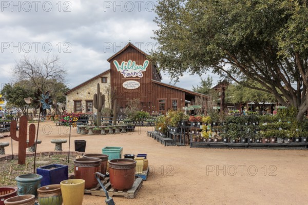 Plants and pots for sale at the Wildseed Farms nursery in Fredericksburg, Texas, USA