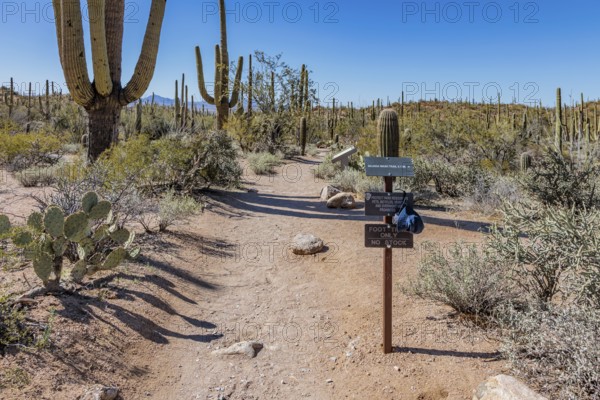 Trailhead for the Bajada Wash Trail at the Organ Pipe Cactus National Monument in southern Arizona, USA