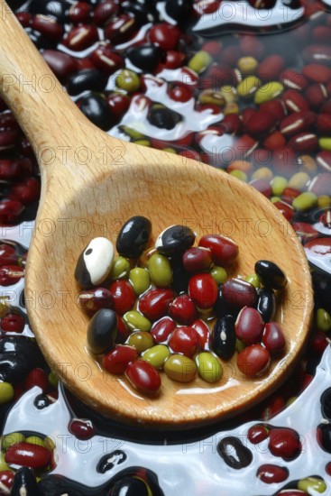 Dried beans placed in water to soak, wooden spoon