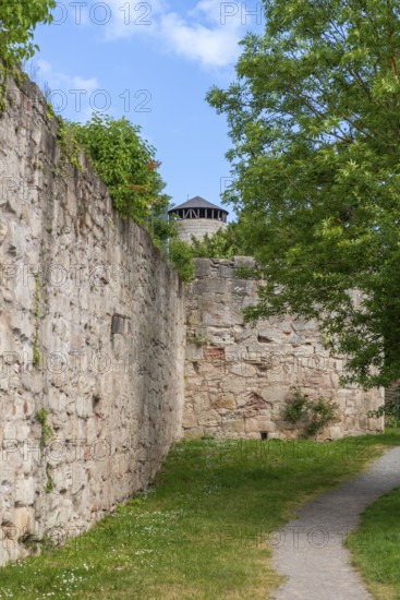 Hiking trail along medieval town wall, defence defence tower, Bad Sooden-Allendorf, Allendorf district, lawn, tree, plants, blue sky, clouds, Werra-Meissner district, Hesse, Germany
