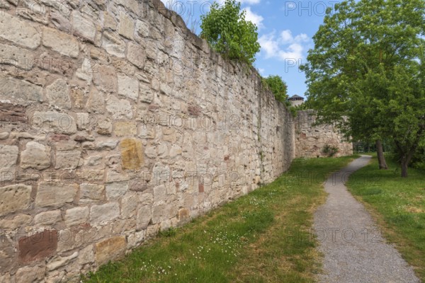 Hiking trail along medieval town wall, Bad Sooden-Allendorf, Allendorf district, lawn, trees, blue sky, clouds, Werra-Meissner district, Hesse, Germany