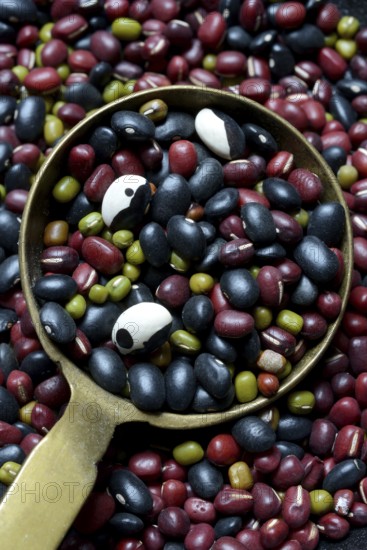 Various beans in ladle, dried beans