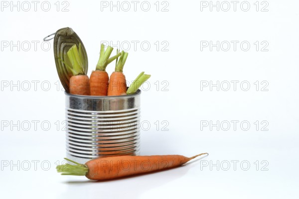 Tinned carrots