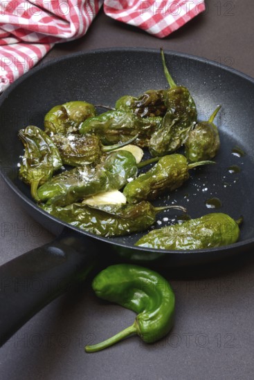 Pan-fried pimientos de padron in olive oil, roast peppers