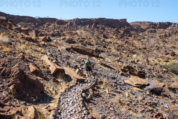 Tourist on a hiking trail, Barren landscape in a valley, Twyfelfontein, Kunene, Namibia