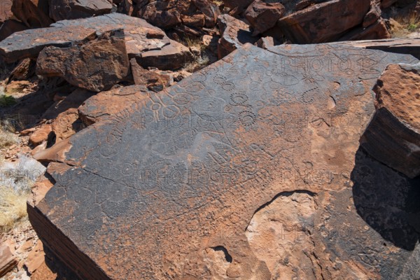 Depictions of animals and patterns on a rock slab, petroglyphs, rock engravings, Twyfelfontein, Kunene, Namibia