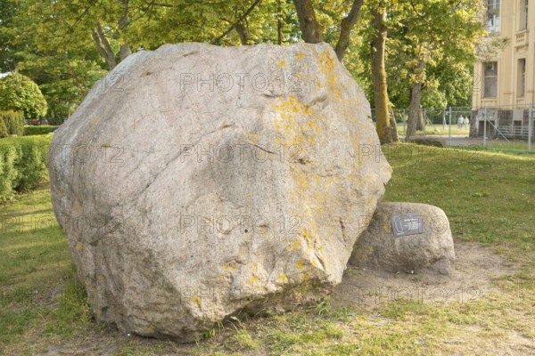 Giant boulder red gneiss (meta-granite), beach promenade, Baltic resort Kühlungsborn, West district, Rostock district, Mecklenburg-Western Pomerania, Germany