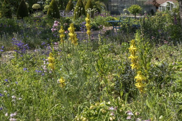 District educational garden, Burgsteinfurt, Münsterland, North Rhine-Westphalia, Germany