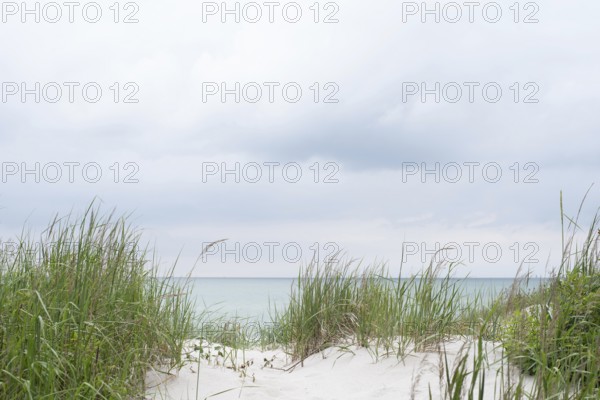 Bright sand dune with a view of the Baltic Sea, Prerow, Mecklenburg-Vorpommern, Germany
