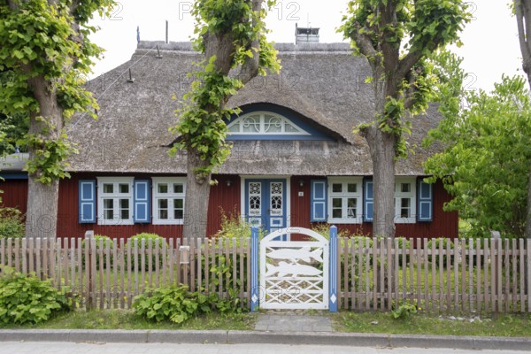 Picturesque thatched house with blue shutters, Wieck, Mecklenburg-Vorpommern, Germany
