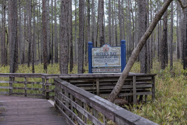 Kurt G. Wintermeyer Trail sign posted at the Weeks Bay Pitcher Plant Bog near Fairhope, Alabama, USA