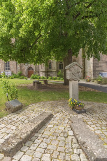 Forecourt of St Crucis Church, Bad Sooden, Allendorf, Allendorf district, memorial stone to the merciful Saint Elisabeth of Thuringia, 13th century, activity against poverty and hunger, Middle Ages, historical person, tree, Werra-Meissner district, Hesse, Germany