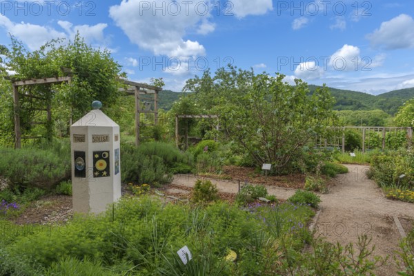 Church and Bible garden of St Crucis Church, Bad Sooden, Allendorf, Allendorf district, symbol of paradise garden with biblical flora, flower beds, fig tree, art, Bible Genesis, paths, low mountain range, blue sky, cumulus clouds, Werra-Meissner district, Hesse, Germany