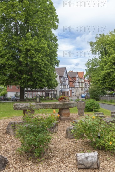 Forecourt of St Crucis Church, Bad Sooden, Allendorf, Allendorf district, roses with fieldstones, commemoration of the legend of the miracle of the roses, St Elisabeth of Thuringia, 13th century, Middle Ages, action against poverty and hunger, old town with half-timbered houses, gabled houses, trees, Werra-Meissner district, Hesse, Germany
