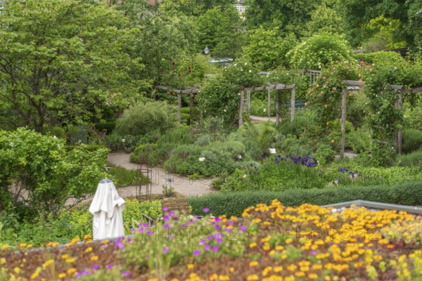 Church and Bible garden of St Crucis Church, Bad Sooden, Allendorf, Allendorf district, symbol of paradise garden with biblical flora, flower beds, blossoms, trees, bushes, Werra-Meissner district, Hesse, Germany
