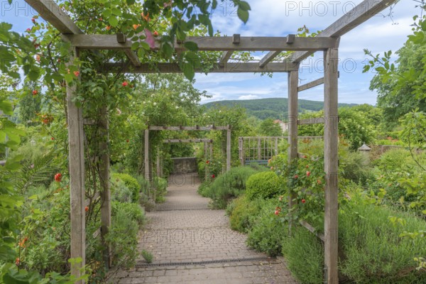 Church and Bible garden of St Crucis Church, Bad Sooden, Allendorf, Allendorf district, symbol of paradise garden with biblical flora, path, climbing roses, flower beds, bushes, blossoms, low mountain range, Werra-Meissner district, Hesse, Germany