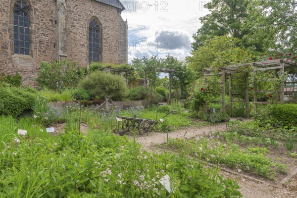 Church and Bible garden of St. Crucis Church, Bad Sooden, Allendorf, Allendorf district, symbol for paradise garden with biblical flora, beds, fruits of the field, agricultural implements, plough, fieldstone church, Werra-Meissner district, Hesse, Germany