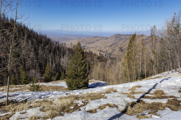 Snow on the Santa Catalina mountainside overlooking the north side of Mt. Lemmon, Arizona, USA