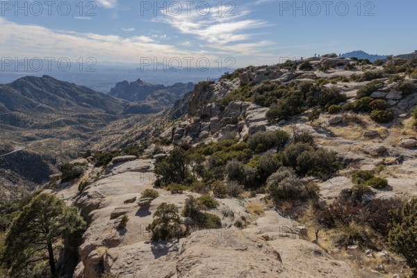 Windy Point Vista offers a view of Tucson from the Catalina Mountains along the Mt Lemmon Highway near Willow Canyon, Arizona, USA