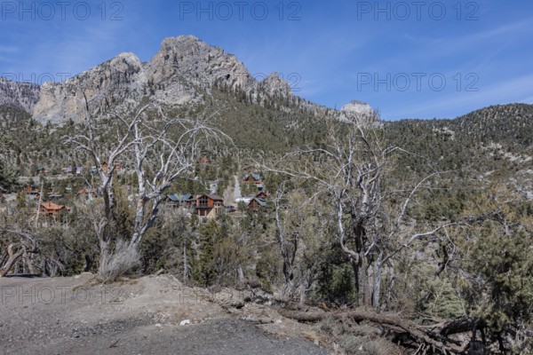 Mountainside homes and cabins in the Spring Mountains at Mount Charleston, Nevada, USA