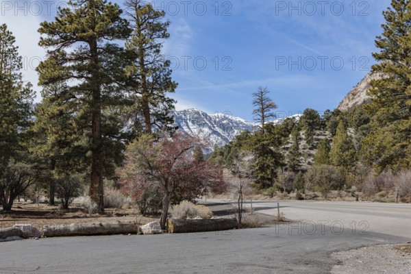 Snow covered Spring Mountains past entrance to Acastus and Fletcher Canyon trailheads along Kyle CAnyon Road near Mount Charleston, Nevada, USA
