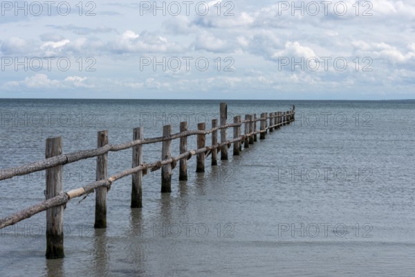 Long wooden jetty juts out into the calm sea with a cloudy sky on the horizon, Prerow, Mecklenburg-Vorpommern, Germany