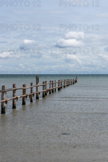 Wooden footbridge leads into the calm, blue sea under a slightly cloudy sky, Prerow, Mecklenburg-Vorpommern, Germany