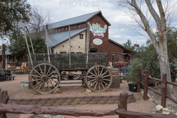 Antique covered wagon on display at the Wildseed Farms nursery in Fredericksburg, Texas, USA