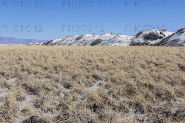 Gypsum dunefields at White Sands National Monument located within the Chihuahuan Desert and the Tularosa Basin near Alamorodo, New Mexico, USA