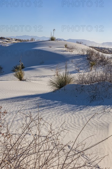 Gypsum dunefields at White Sands National Monument located within the Chihuahuan Desert and the Tularosa Basin near Alamorodo, New Mexico, USA