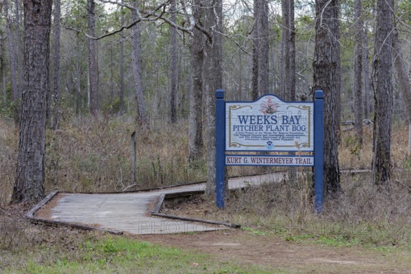 Kurt G. Wintermeyer Trail sign posted at the Weeks Bay Pitcher Plant Bog near Fairhope, Alabama, USA