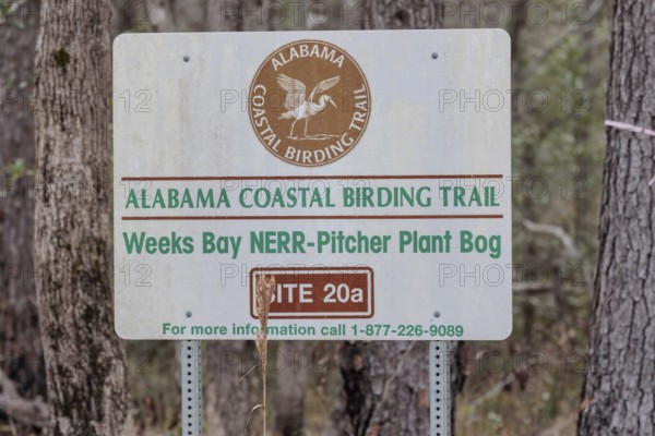 Alabama Coastal Birding Trail sign posted at the Weeks Bay Pitcher Plant Bog near Fairhope, Alabama, USA