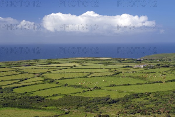 Wide green fields stretch to the coast under a cloudy sky, St Ives, Cornwall, England, United Kingdom