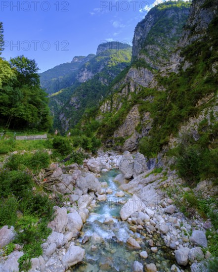 Gorge and river Mis, in Val di Mis, Belluno, Veneto, Italy