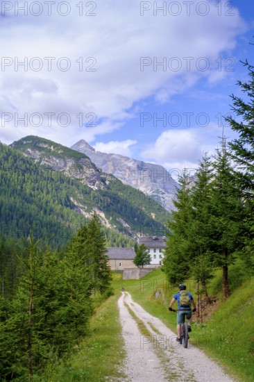 Cyclist on the railway cycle path, at the Rifugio Ospitale, Val Felizon, Cortina d'Ampezzo, Dolomites, Province of Belluno, Veneto, Italy