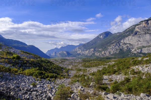 Rockfall area, Marocche di Dro biotope, near Dro, Sarca Valley, Trentino, Italy