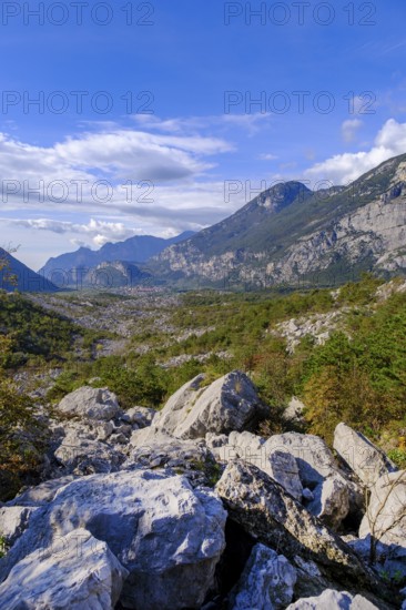 Rockfall area, Marocche di Dro biotope, near Dro, Sarca Valley, Trentino, Italy