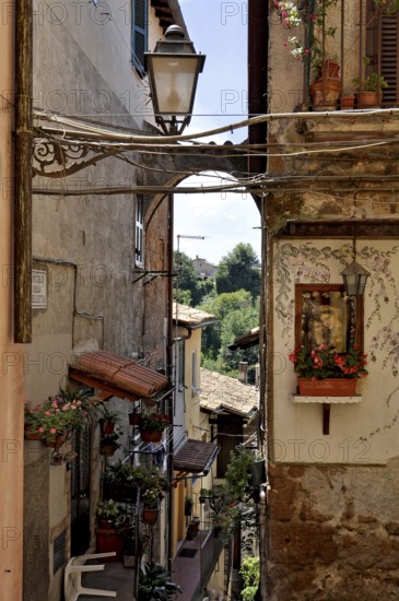 Narrow steep alley with flowers and image of the Virgin Mary, idyll, Vicolo della Stelletta, historic centre of Zagarolo, Alban Hills, metropolitan city of Rome, Lazio, Italy