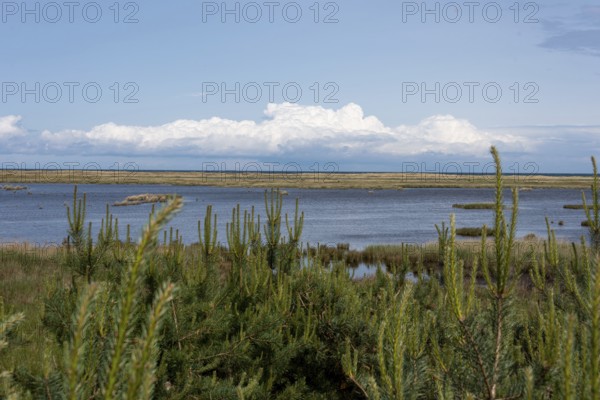 Darßer Ort, Cumulus clouds, National Park Vorpommersche Boddenlandschaft, Prerow, Mecklenburg-Vorpommern, Germany