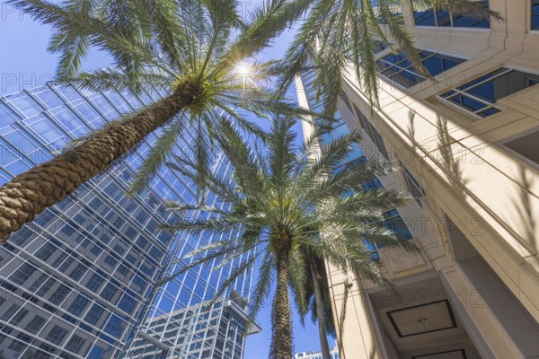 Florida, Fort Lauderdale, Las Olas Boulevard. Downtown financial district and city skyline