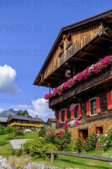 Old farmhouses in the Hoffe district, Sappada, Plodn, Carnic Alps, Julian Friuli, Italy
