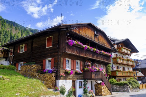 Old farmhouses in the Hoffe district, Sappada, Plodn, Carnic Alps, Julian Friuli, Italy