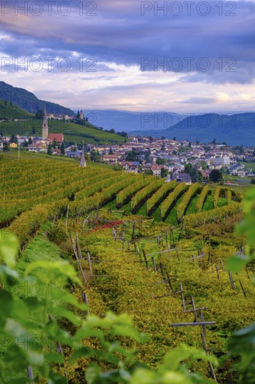 Tramin an der Weinstraße, with vineyards, Unteretsch, South Tyrol, Italy