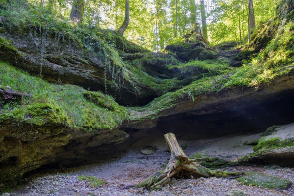 Dachshöhle geotope, Wackersberg, Tölzer Land, Upper Bavaria, Bavaria, Germany