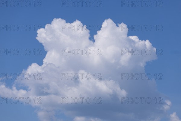 Big, fluffy white clouds in front of a blue sky, Ternitz, Lower Austria, Austria